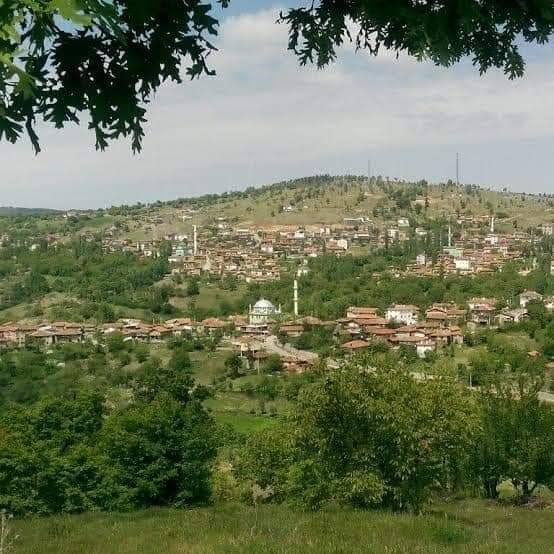 KINIK MAHALLESİ (BÜYÜKORHAN/BURSA)